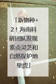 新物种+2！海南科研团队发现素贞灵芝和自然保护地壁虎